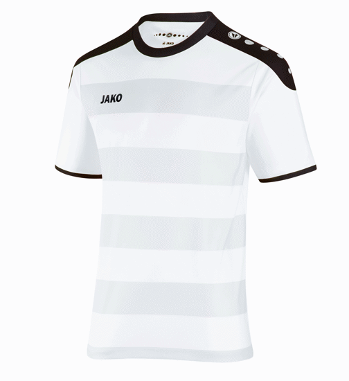 Slika CELTIC dres KR