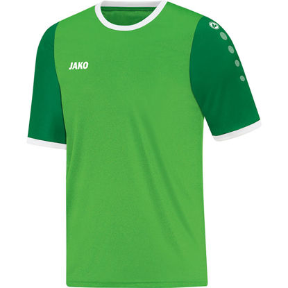 Slika LEEDS dres KR