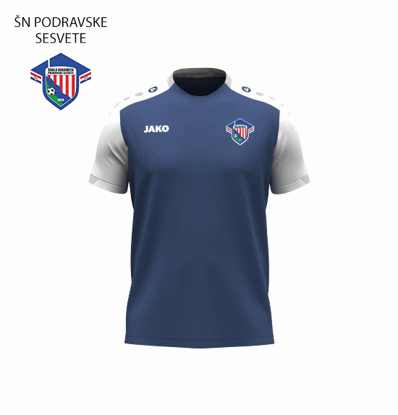 Slika ŠN PODRAVSKE SESVETE DYNAMIC majica K/R